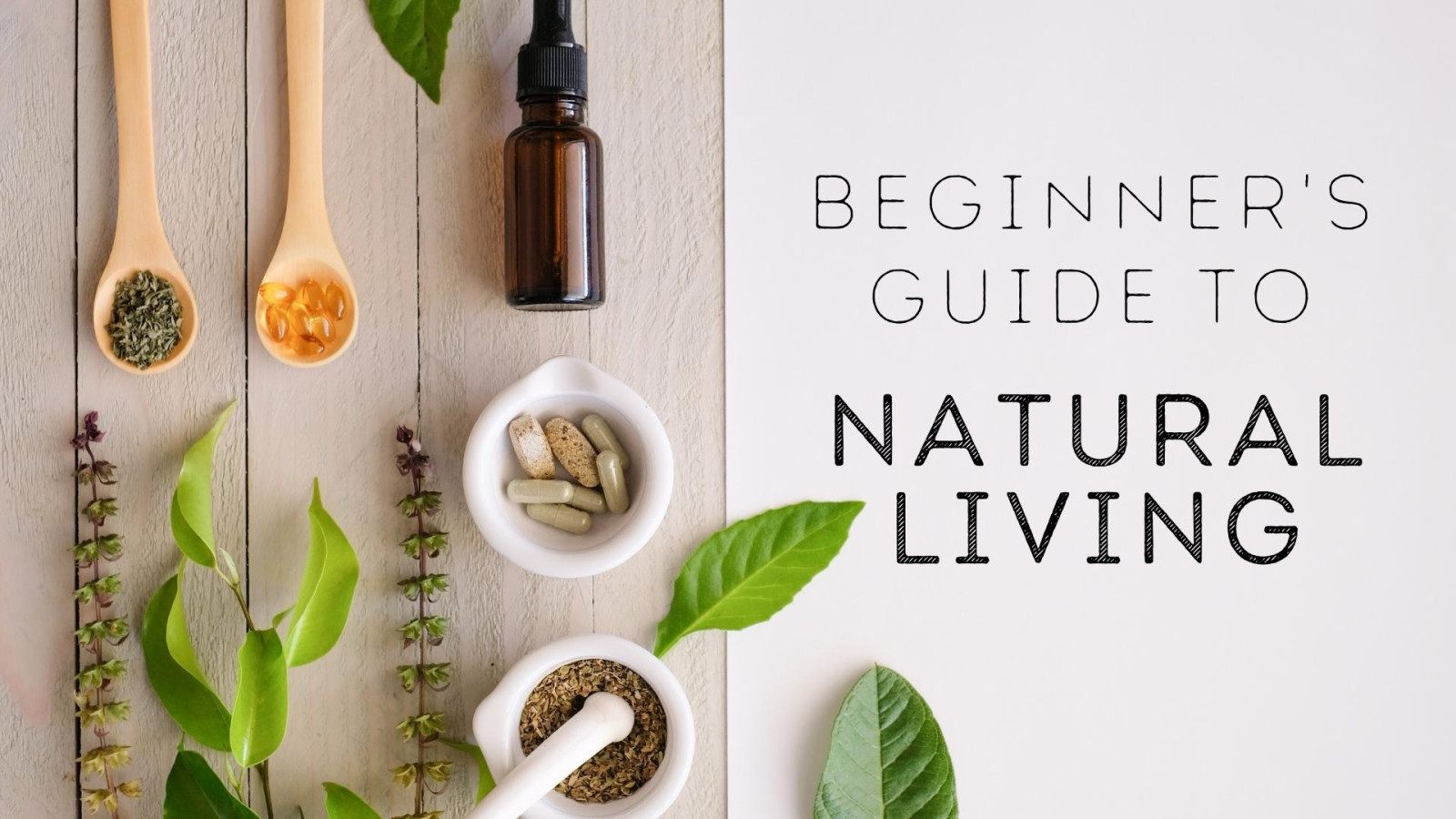 Beginner's Guide to Natural Living Zoom Class