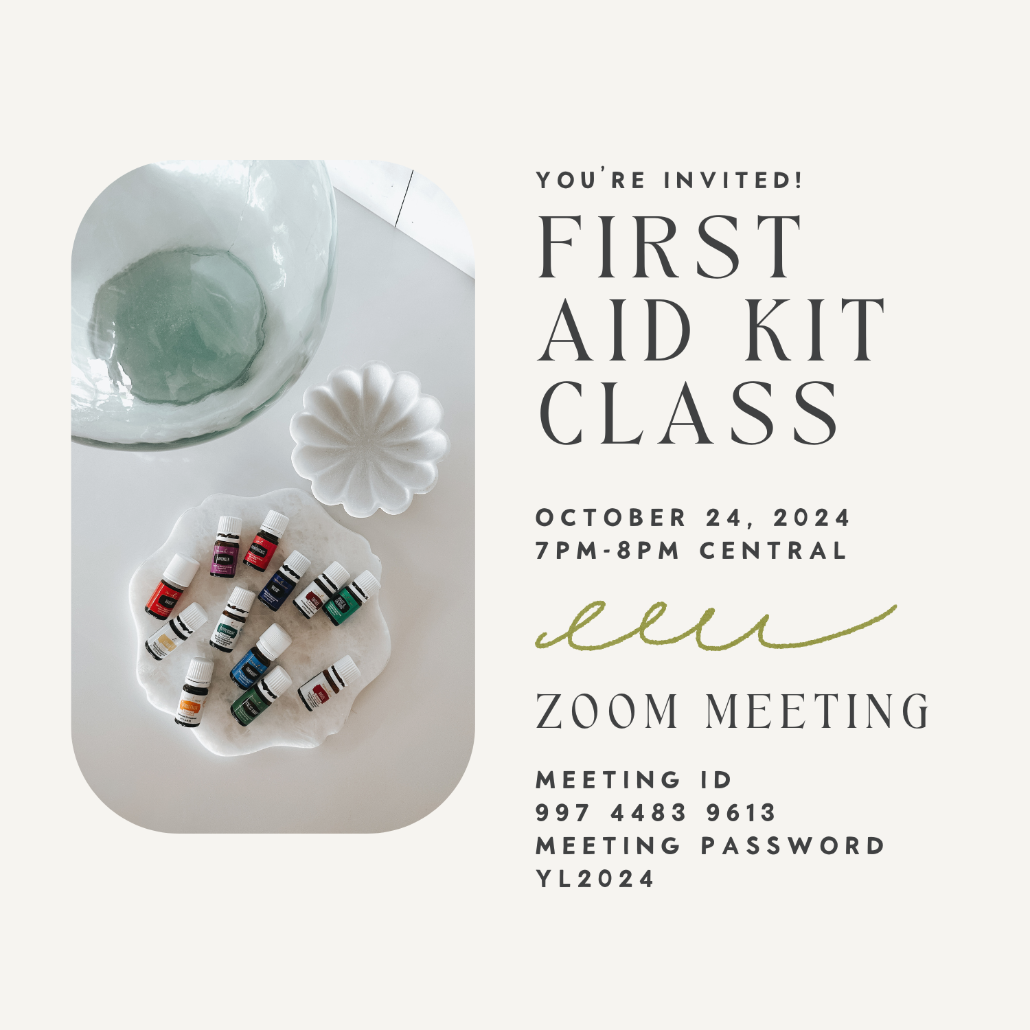 First Aid Kit Zoom by Nicci Mier 