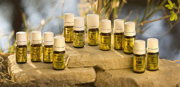 The Healing Oils of the Bible - Jersey 