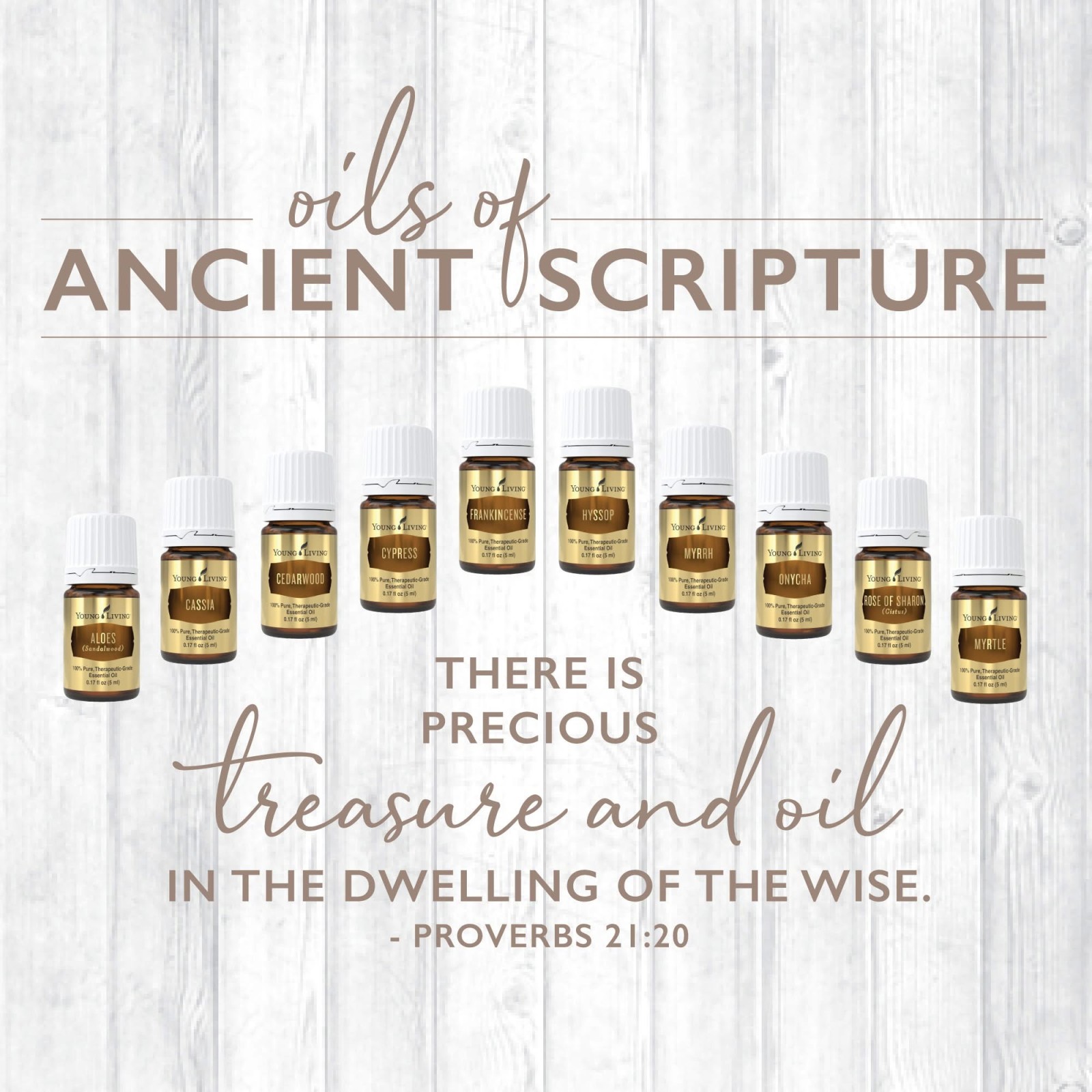 Holiday Dinner with Oils of the Bible 