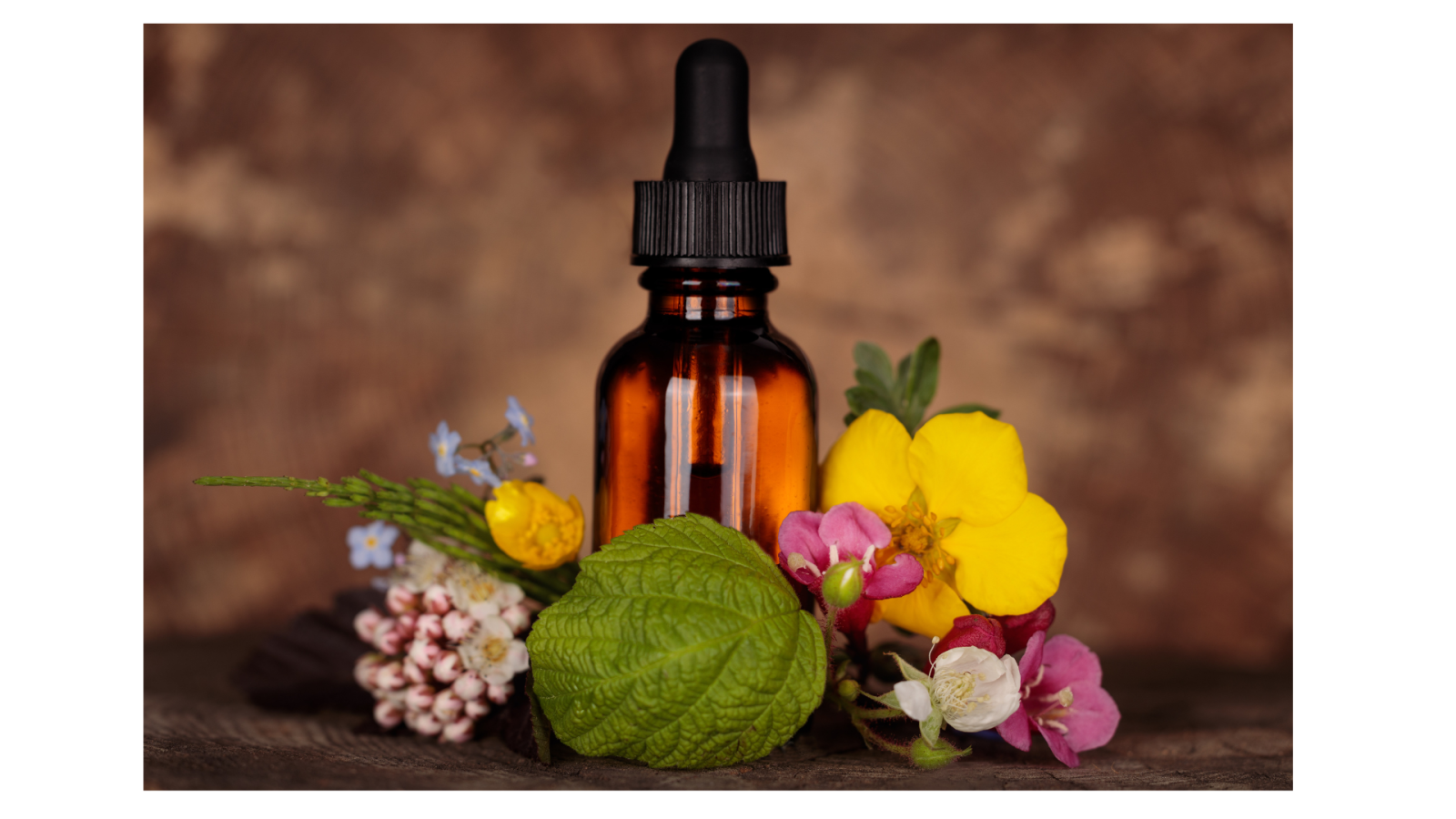 Flower Remedies: Taming the Emotions Within