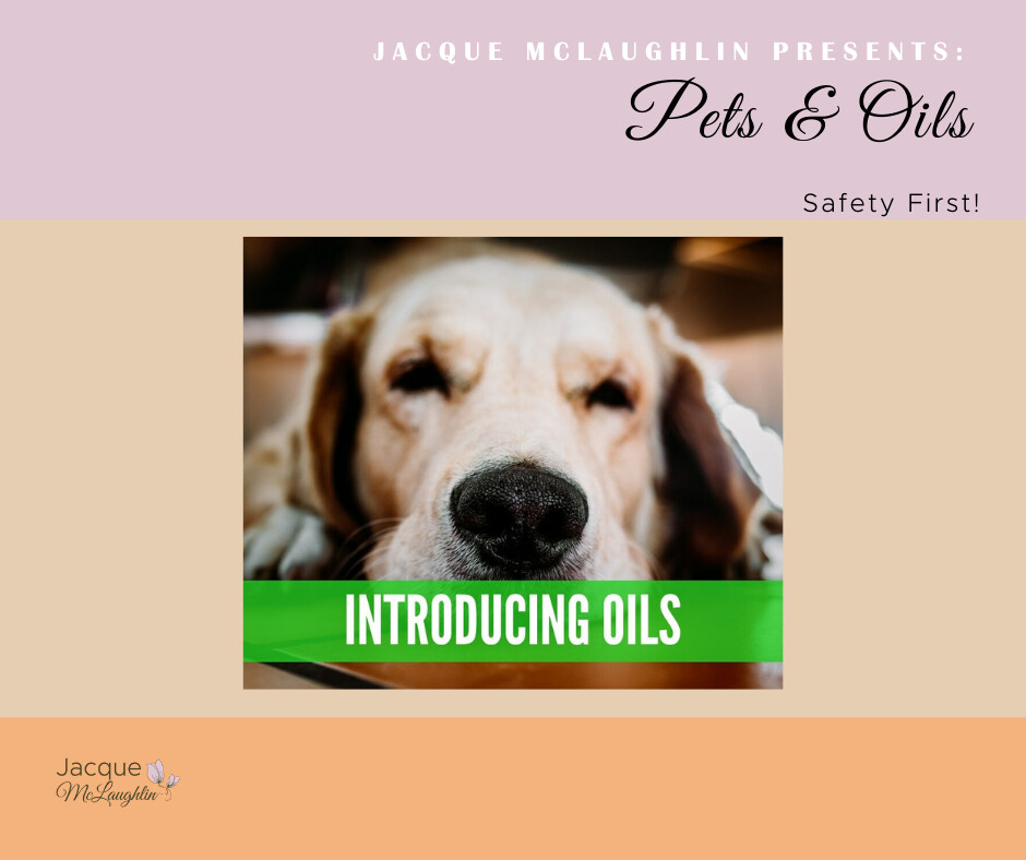 Pets & Oils - Online Zoom Event!