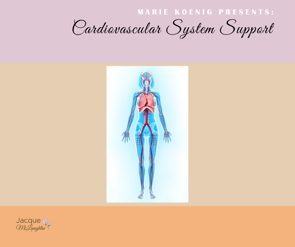 Cardio & Circulatory System Support