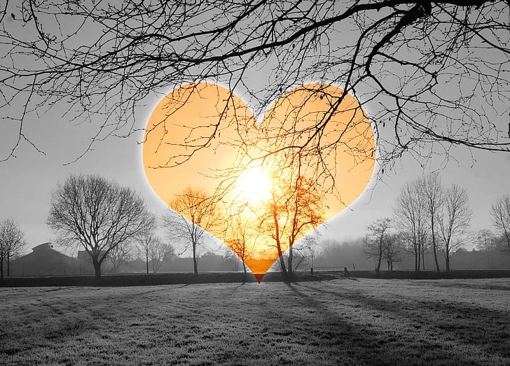 Heart Health & Emotions