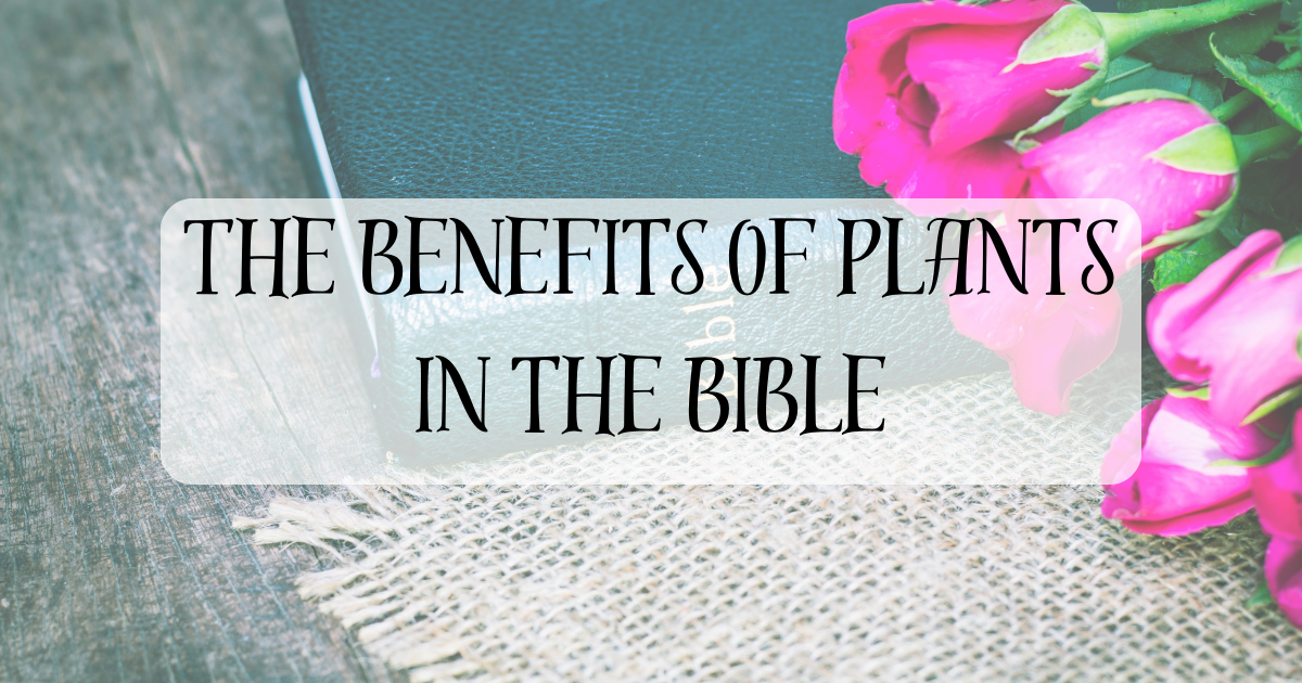The Benefits of Plants in the Bible