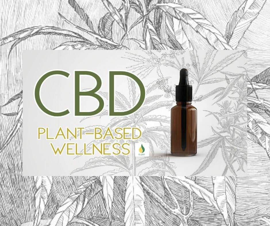 CBD Basics