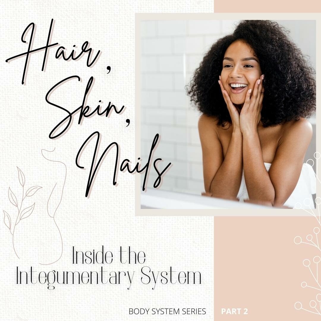 Body System Series Part 2 - Hair, Skin & Nails: Inside the Integumentary System