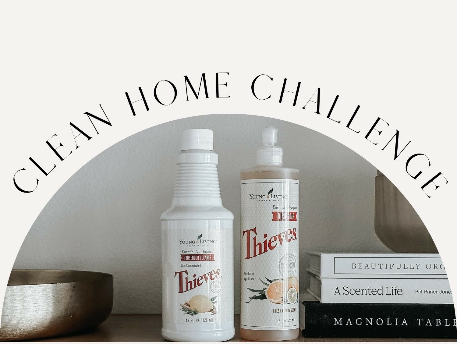 Clean Home Challenge