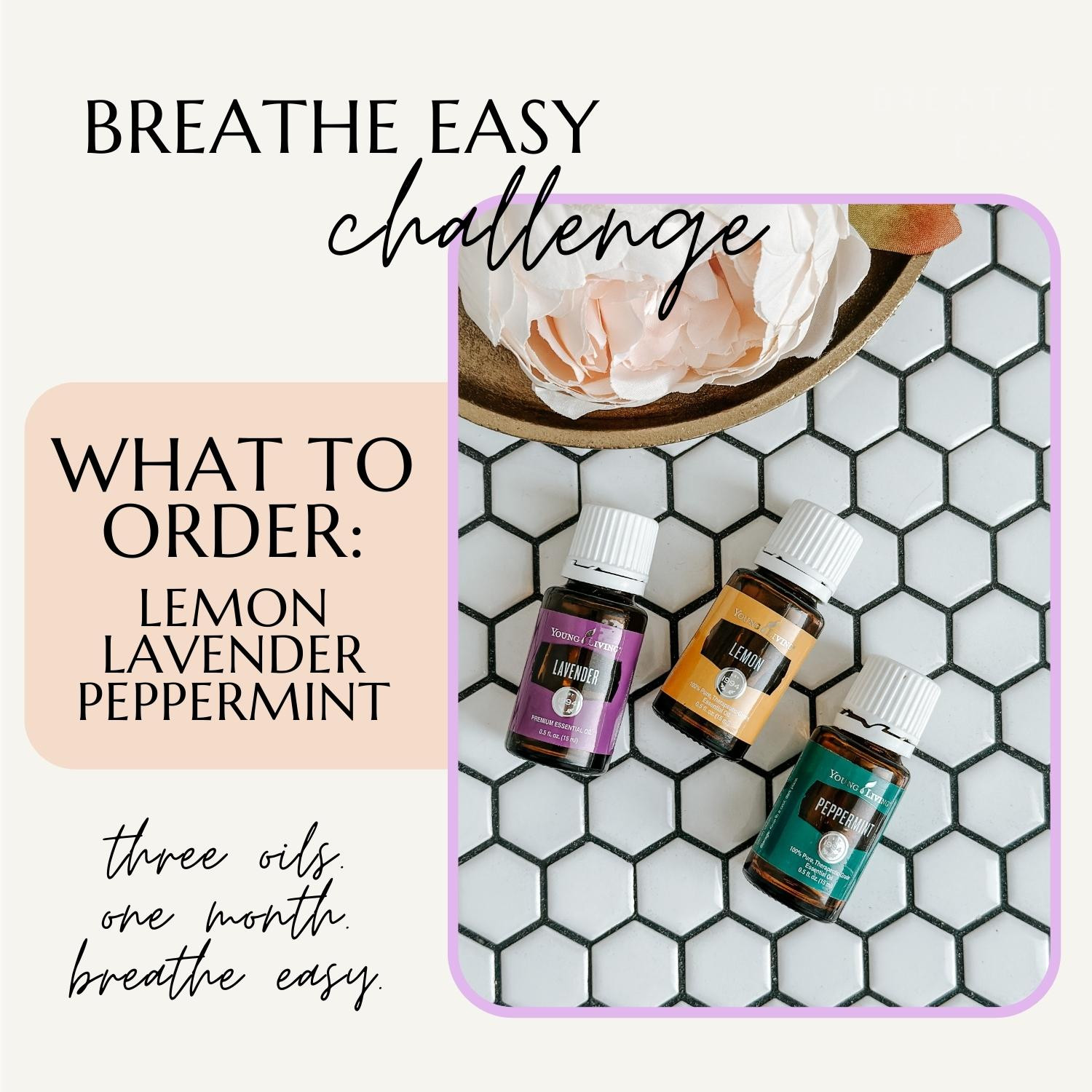 Breathe Easy Challenge 