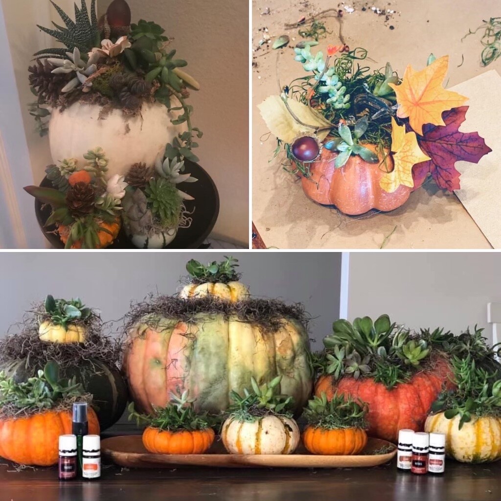 Pumpkin Succulent Diffuser DIY