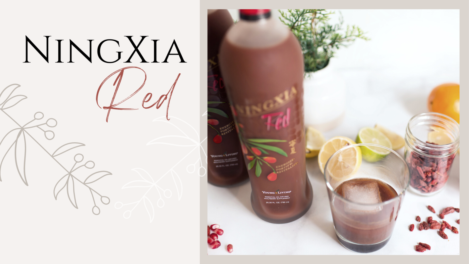 NingXia Red - Why Your Whole Family Needs It!