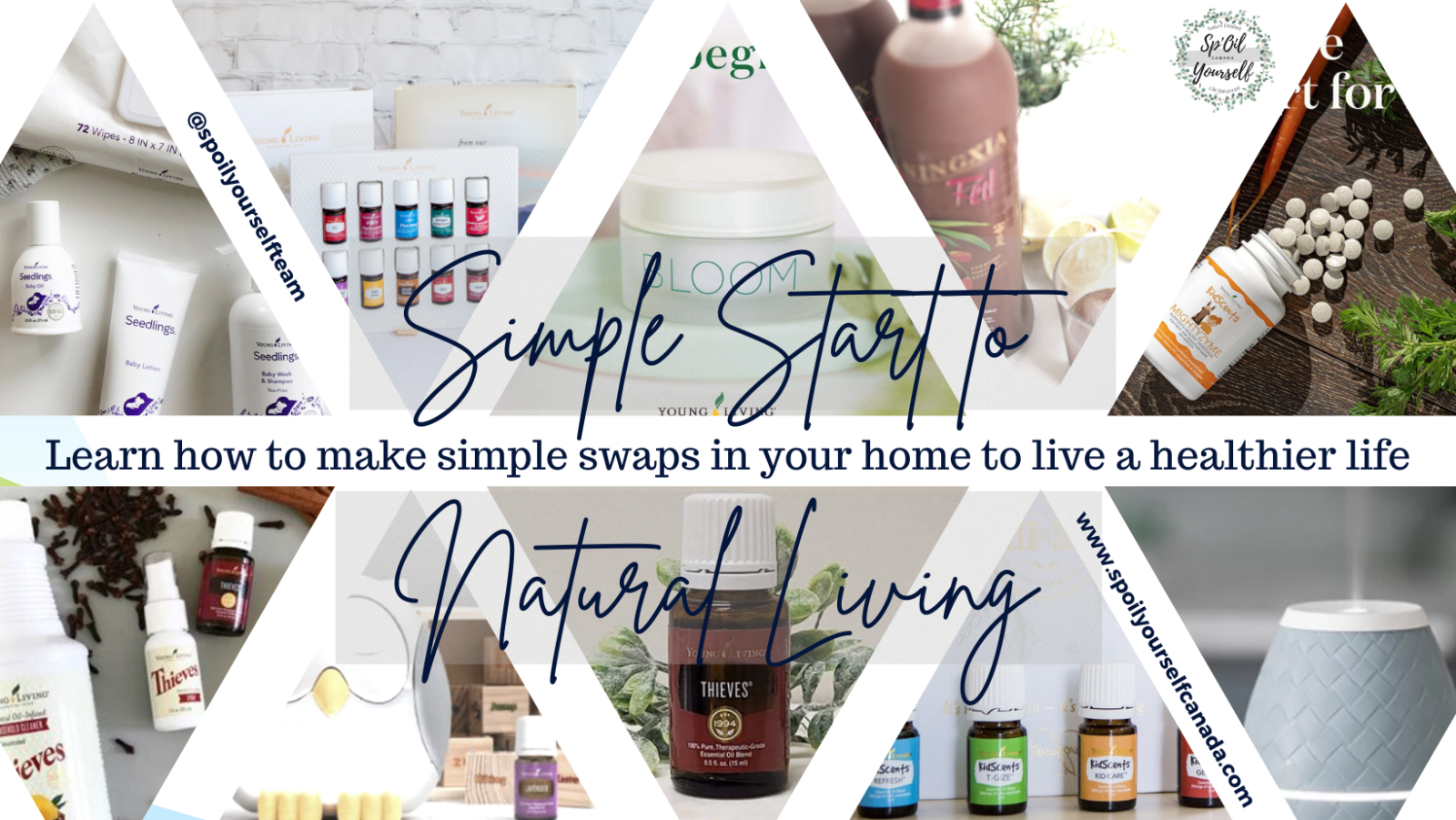 POSTPONED - Simple Steps to a Holistic Lifestyle