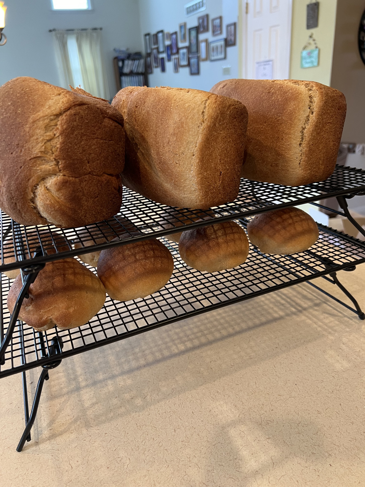 Fresh Flour & Feast: A Homemade Dinner Experience - Summer