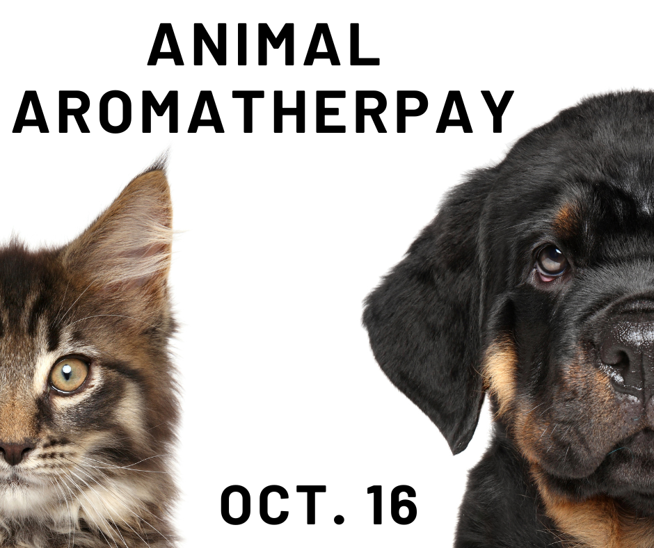 Animal Aromatherapy!  Pets are family too! Zoom