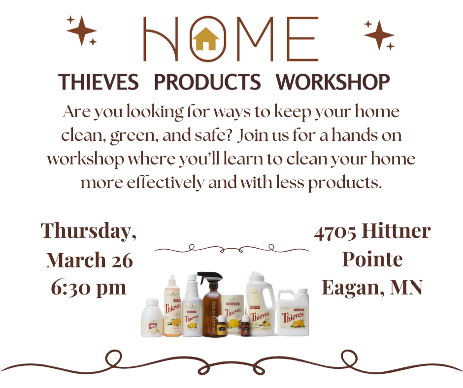 Spring Cleaning Thieves Workshop