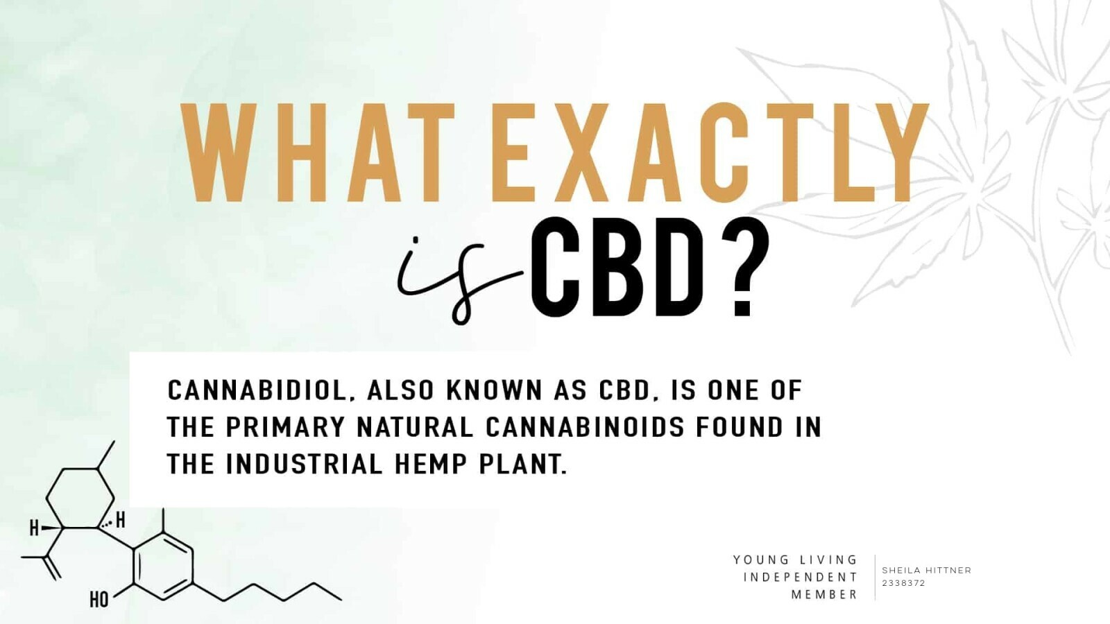 CBD VS. THC