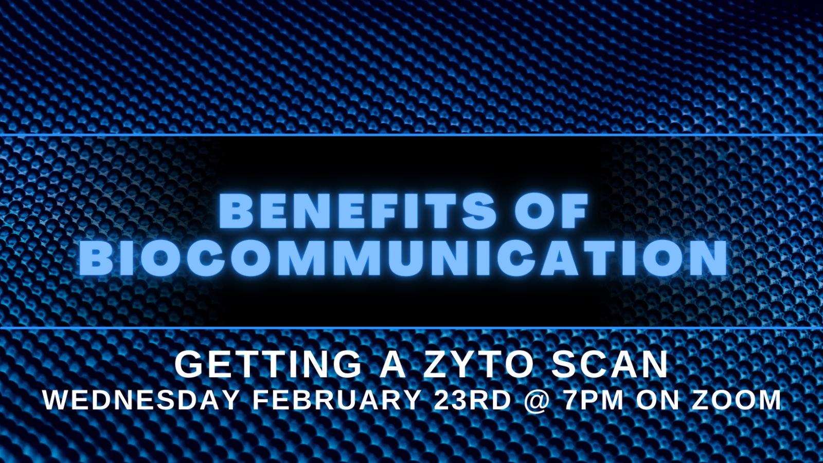 Benefits of Biocommunication - Getting a Zyto Scan 