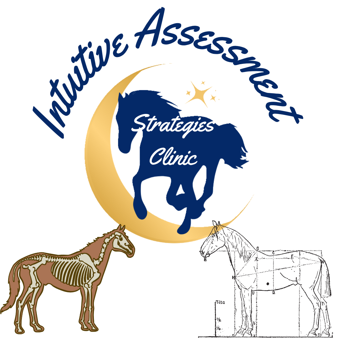 Intuitive Assessment Strategies Clinic