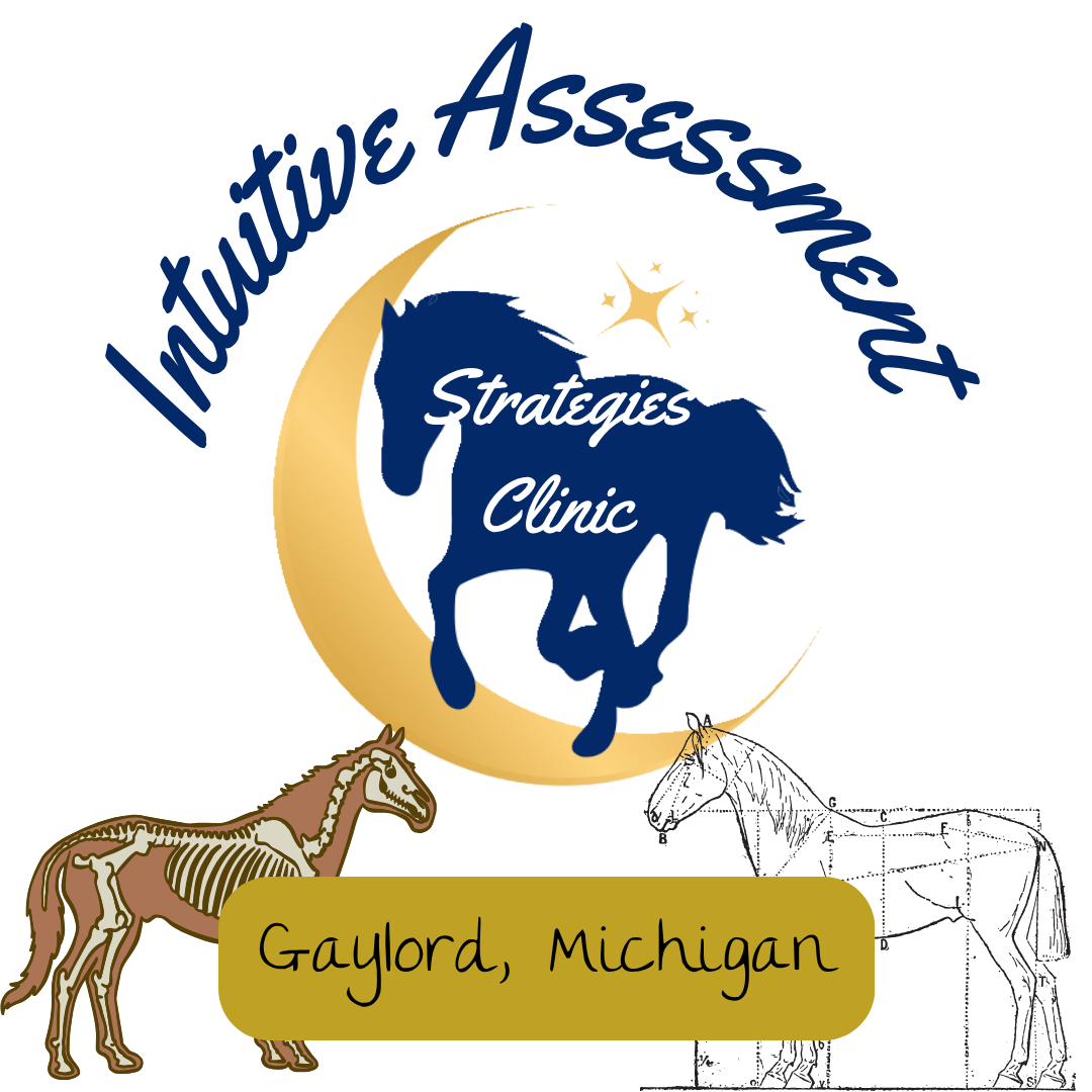 Intuitive Assessment Strategies Clinic- Gaylord