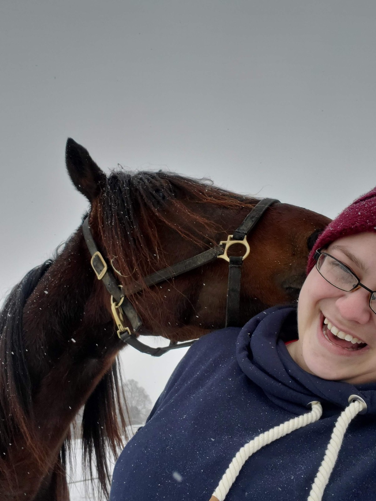 🐎 The Profitable Practitioner