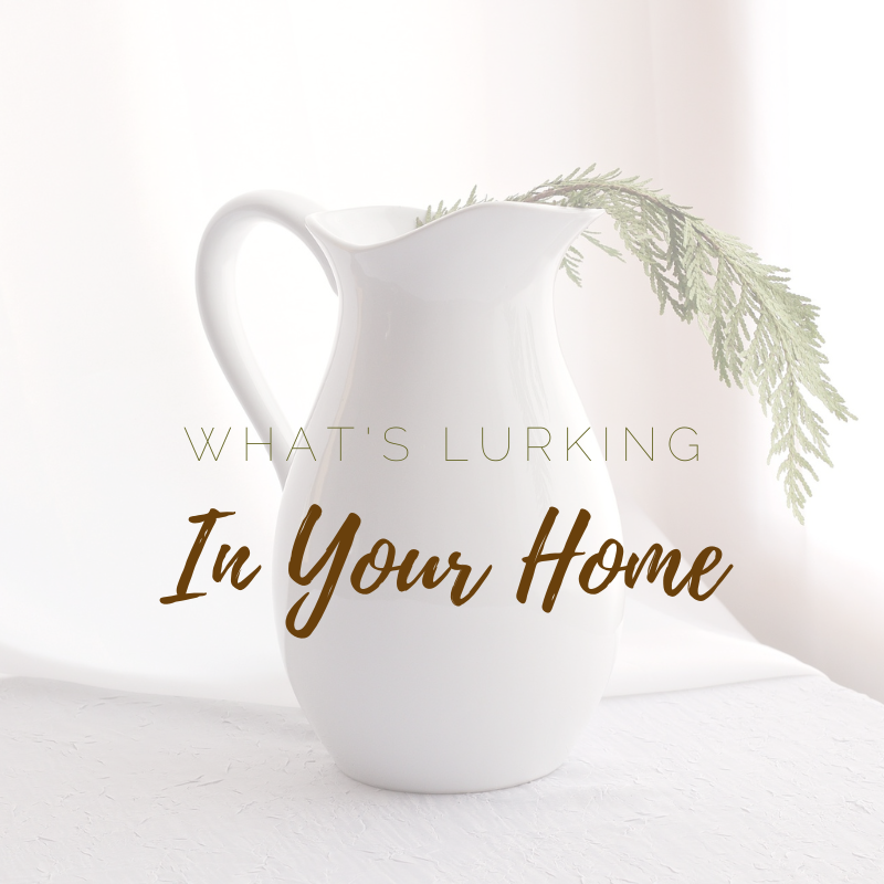 What's Lurking In Your Home?