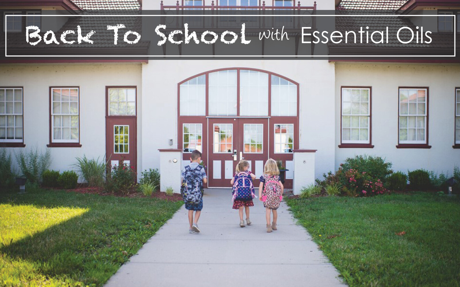 Back to School with Essential Oils 