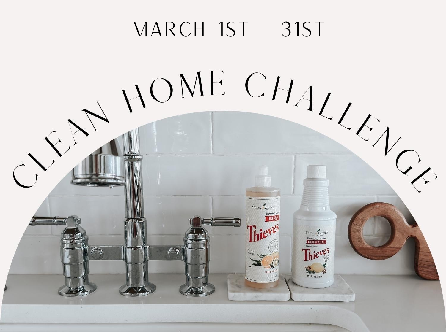 Clean Home Challenge