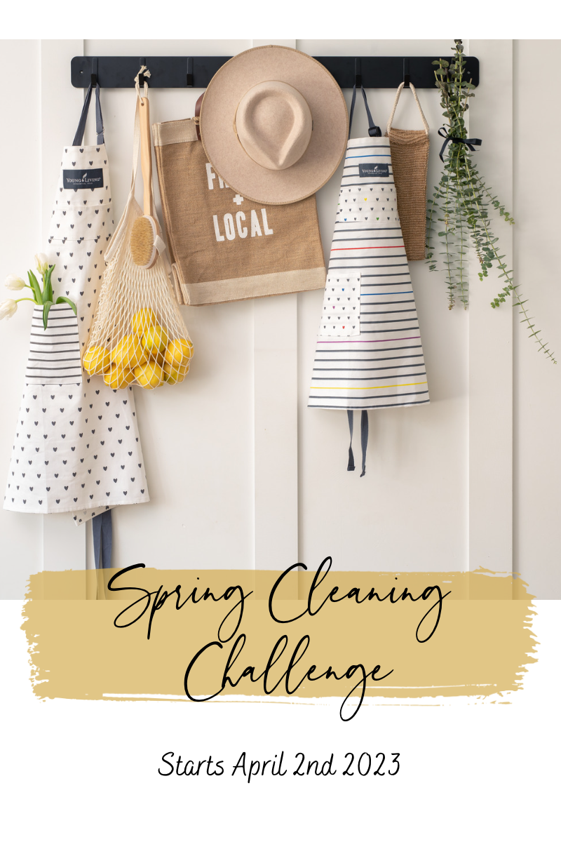 7 Day Spring Cleaning Challenge