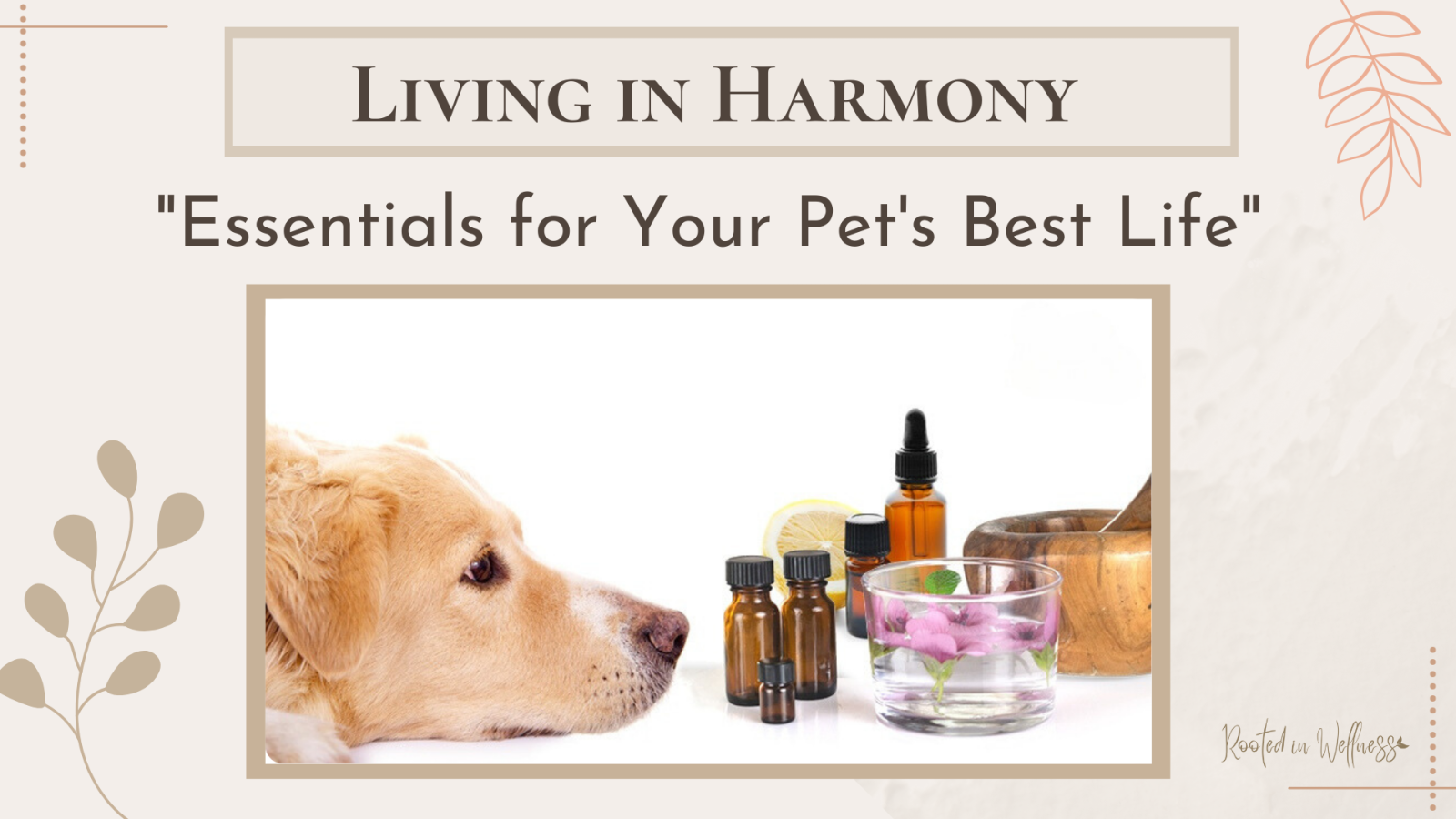 Living in Harmony - "Essentials For Your Pet's Best Life"