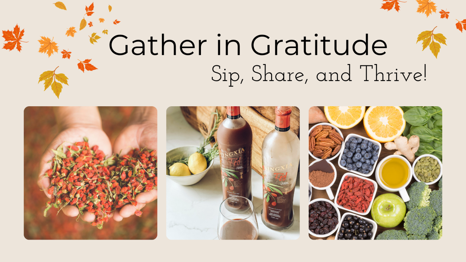Autumn Gratitude Gathering: Sip, Share, and Thrive!