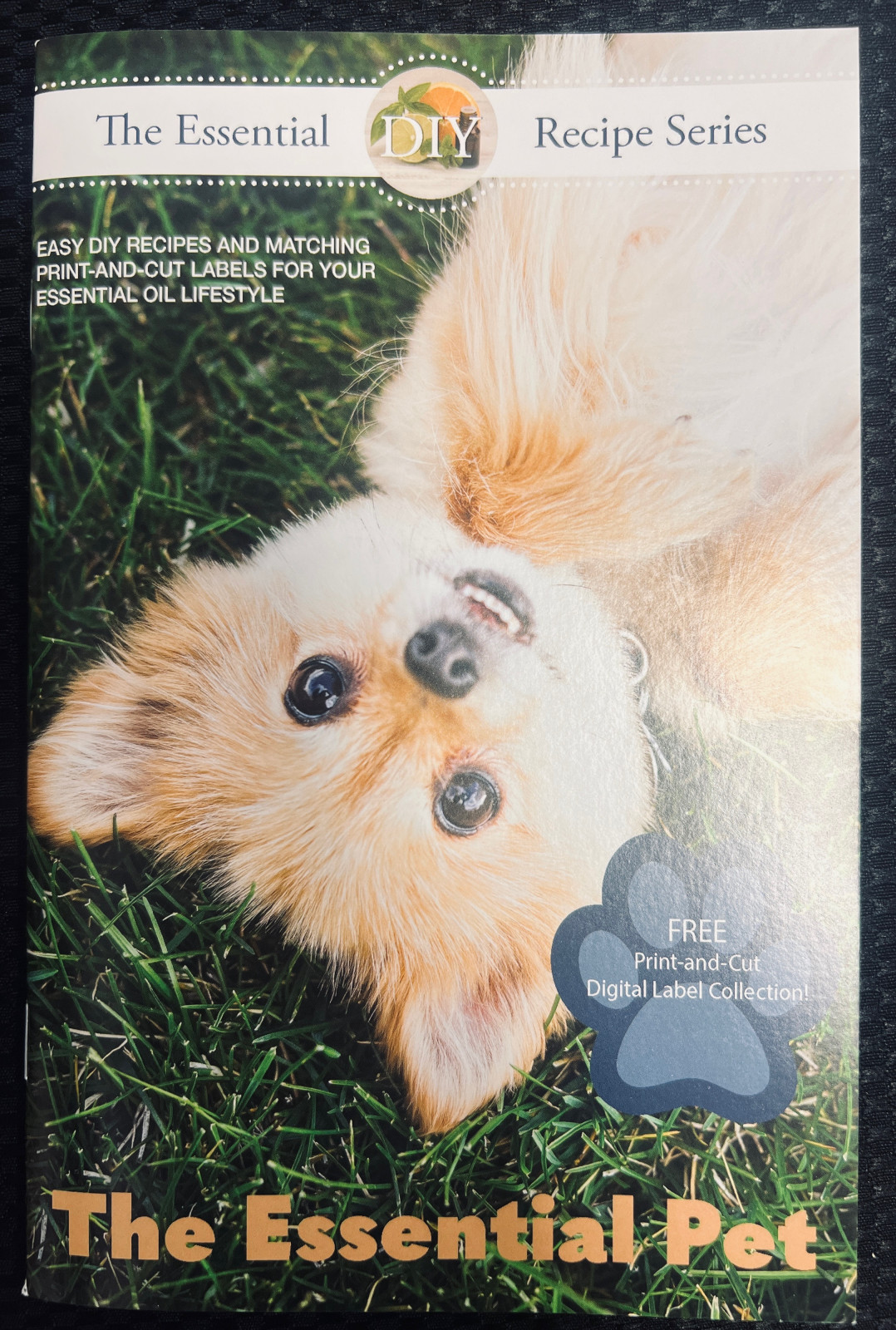 DIY PET ESSENTIALS