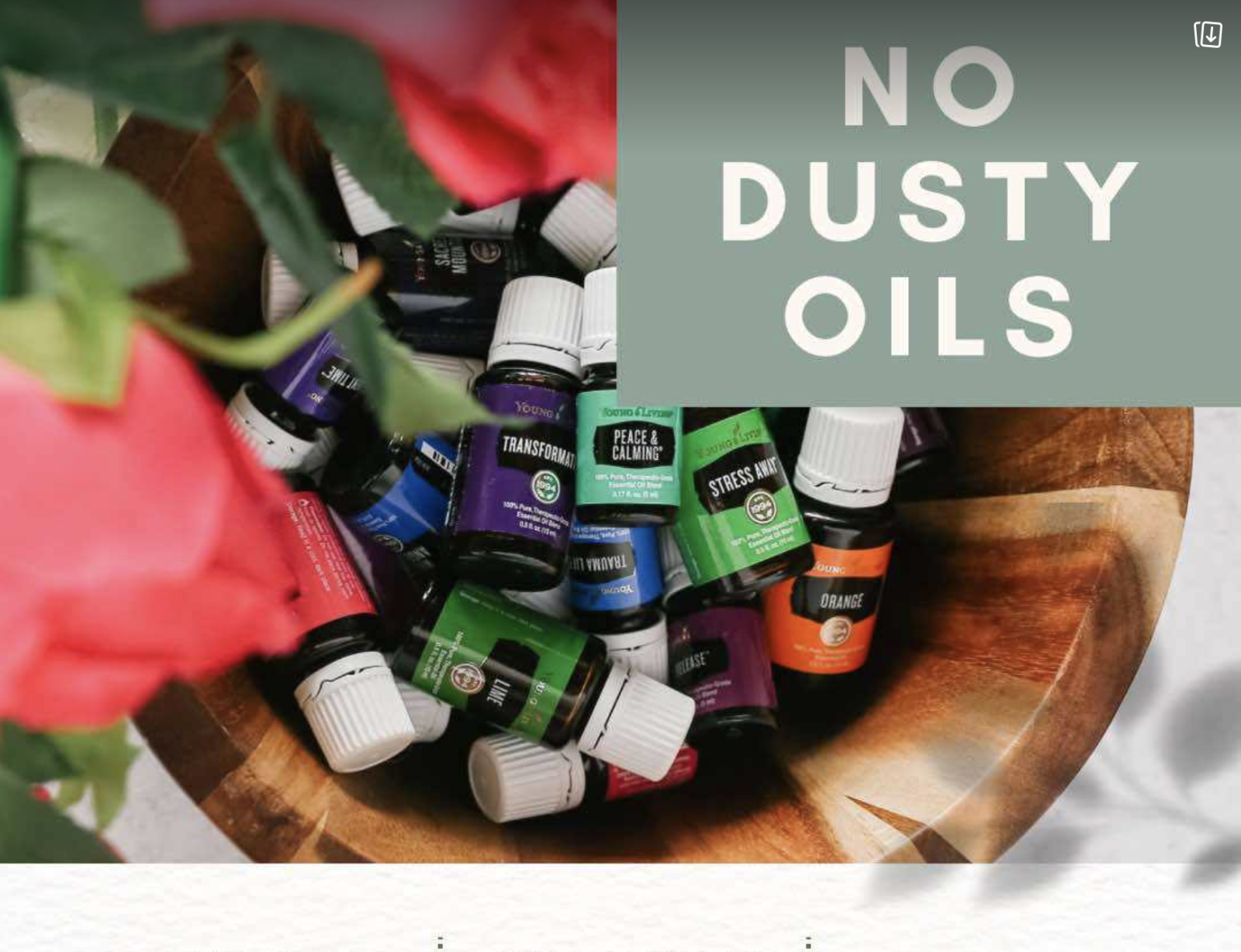 No Dusty Oils!