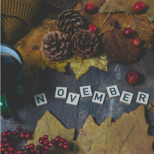 November Oily Social