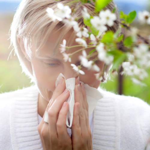 "Pollen-Proof Your Life: The Aromatic Battle Plan"